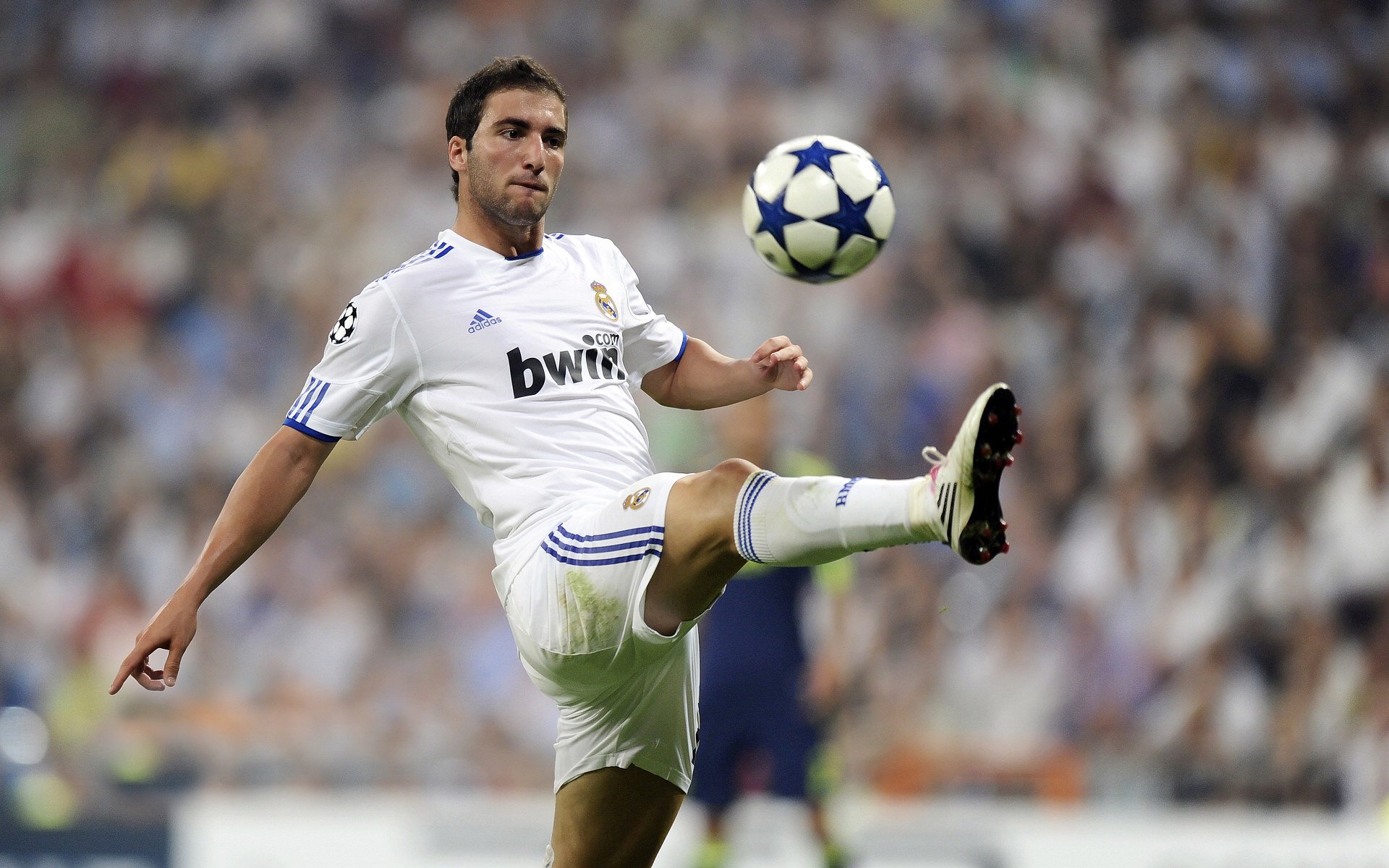 绿色环保场馆建设加速推进，推动足球运动走绿色发展道路，绿色环保活动项目