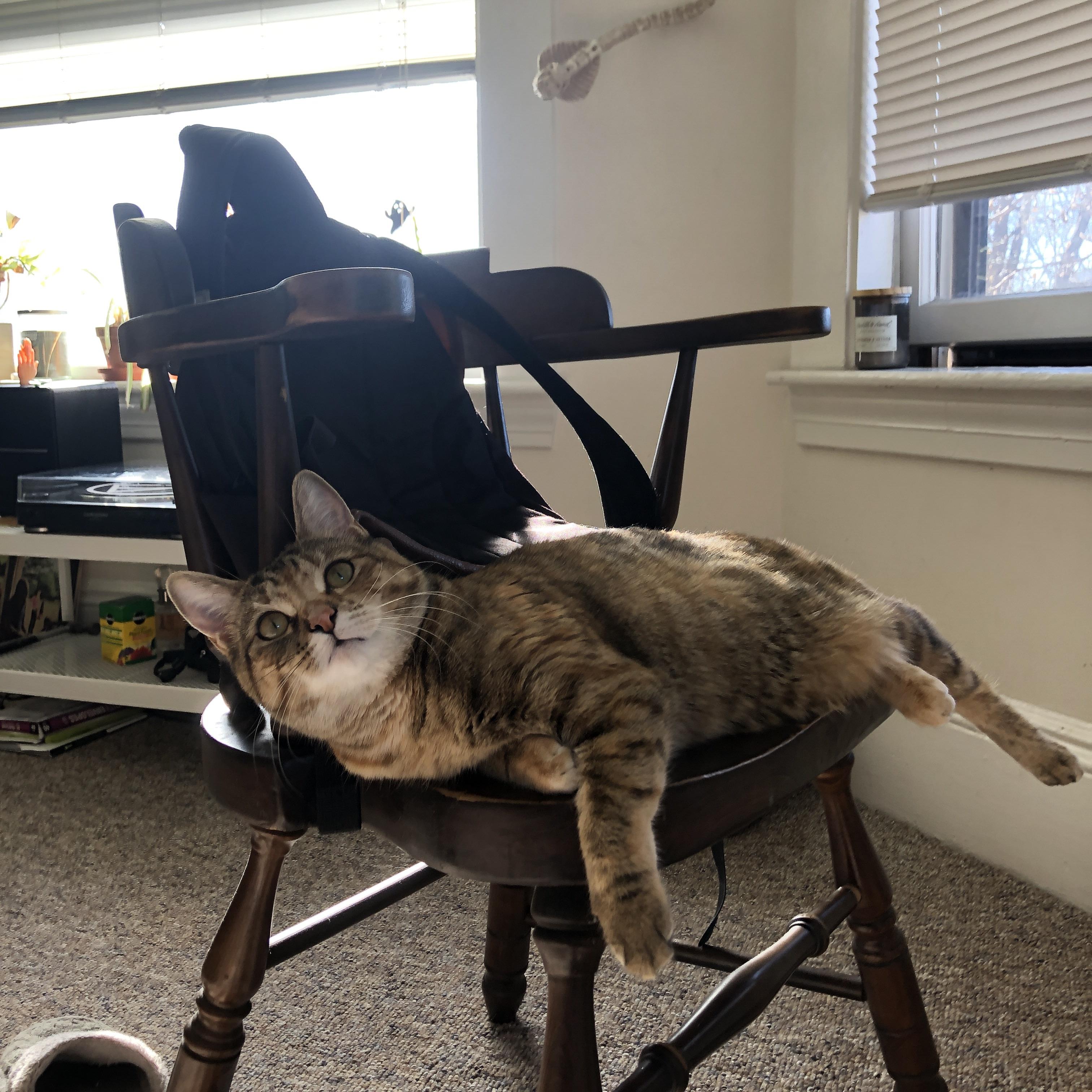 kaiyun开云·官方网站-_极速冲浪：人工波浪场馆引领新潮流_，网上冲浪速度